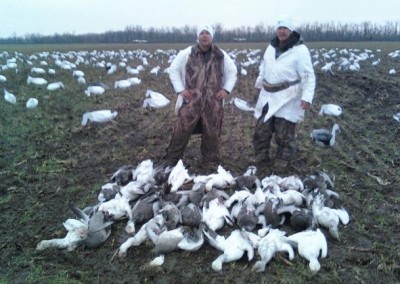 missouri_spring_snow_goose_outfitters
