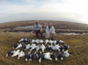 hunters with snow geese in field