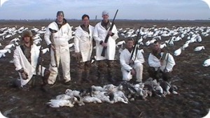 missouri_spring_snow_goose_outfitters